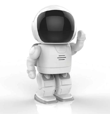 monitoring robot