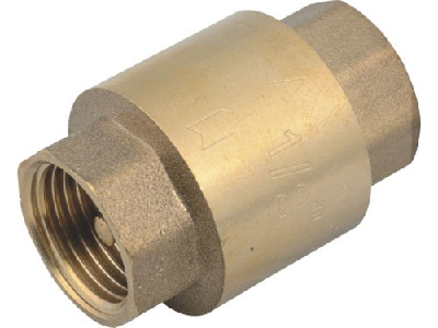 check valve