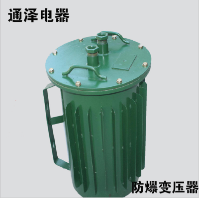 Explosion proof control transformer