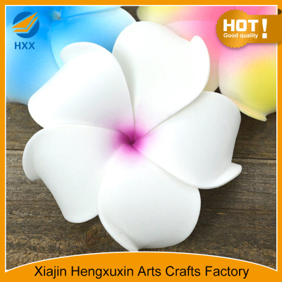 plumeria hari clip with multicolour