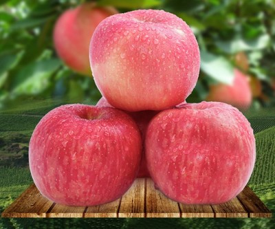 Luochuan red Fuji apple Shaanxi red Fuji fresh apple export