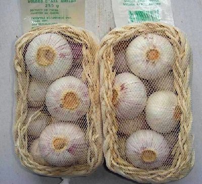 FRESH GARLIC