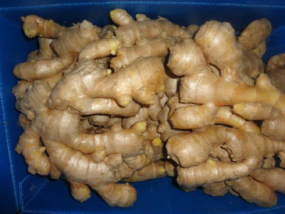 FRESH GINGER,fresh ginger