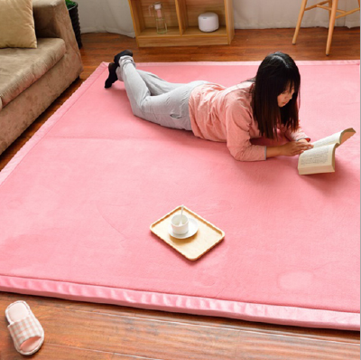 Living room bedroom carpet