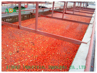 Turn key solution for automatic tomato paste machinery