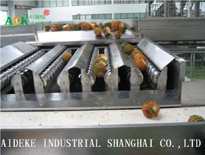 China good quality pineapple juice processing machinery