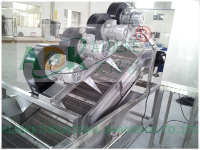 Fresh vegetables washing  machine,bubble type washing machine