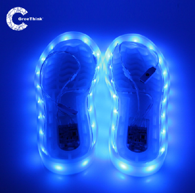 Led shoe light with light