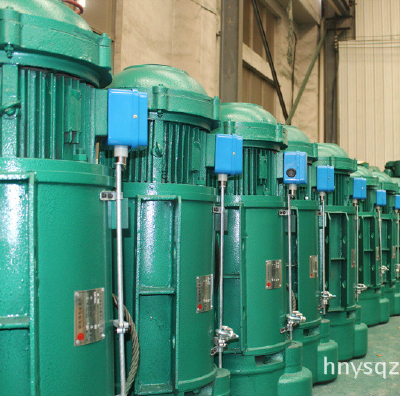 Wire rope electric hoist