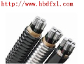 Aluminum alloy cable