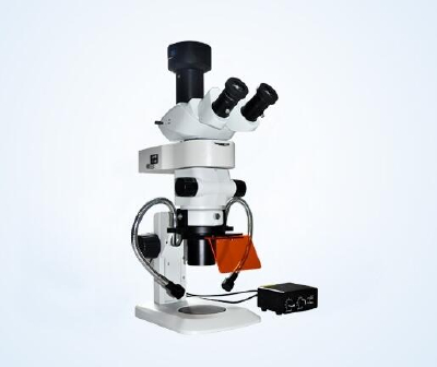 Stereo Fluorescence Microscope