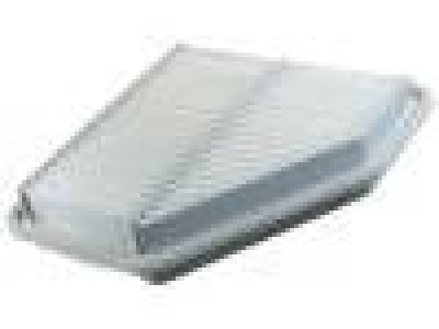 Air compressor filter 17801-31120 for LOTUS EXIGE
