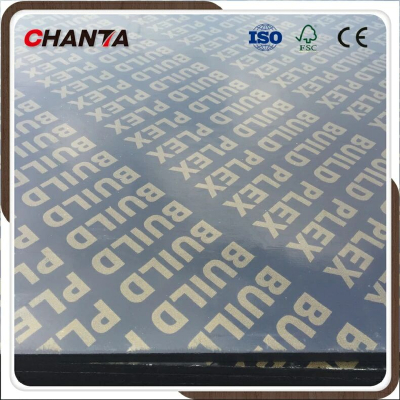 1220*2440 shuttering plywood for mid east and africa market