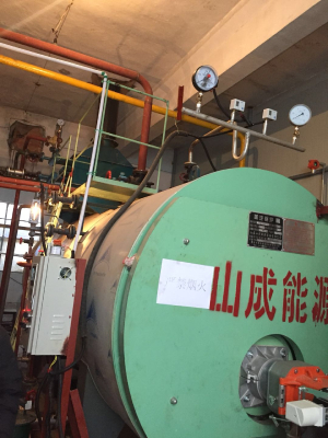 WNS series oil-fired /gas-fired hot-water boiler