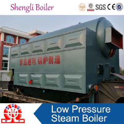 shengli   Low Pressure Steam Boiler