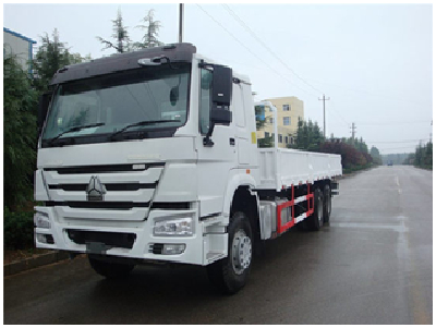 SINOTRUK HOWO 6X4 Cargo Lorry Truck For Sale