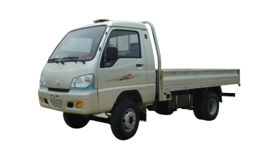 Tking Light Truck 0.5 Ton
