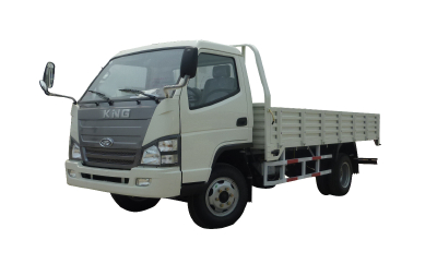 Tking Light Truck 2.5 Ton