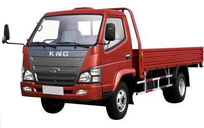 Tking Light Truck 3 Ton