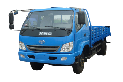 Tking Light Truck 5 Ton