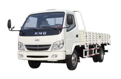 Tking Gasoline Light Truck 2 Ton