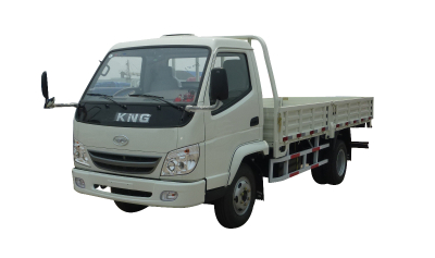 Tking Gasoline Light Truck 3 Ton