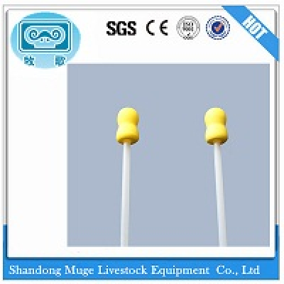 Disposable vas deferens for Pig