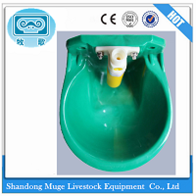 Sheep Drinking Water Bowl