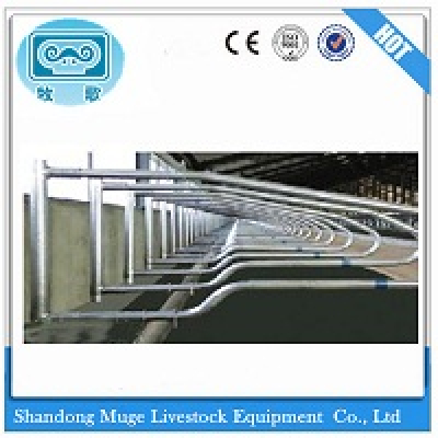 Cattle Lying Bed
