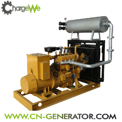 CW-20GFZ biogas generator set