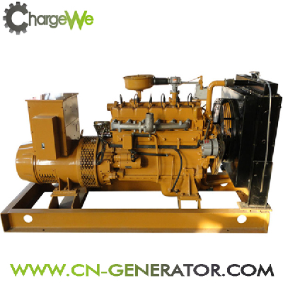 CW-40GFZ biogas generator set