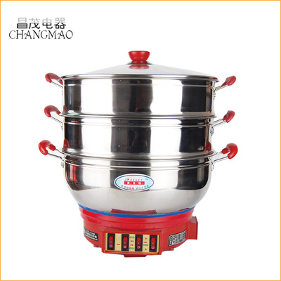 electric rice cooker