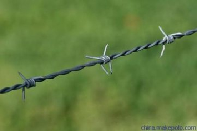 Barbed iron wire
