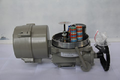 Electric  valve actuator