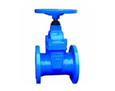 Ductile iron resilient seated gate valves