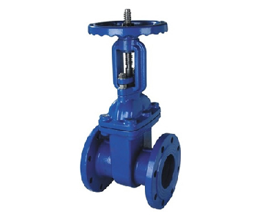 Rising stem resilient seated gate valves