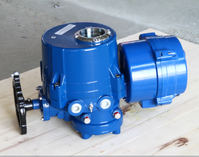 Quarter-turn electric actuator
