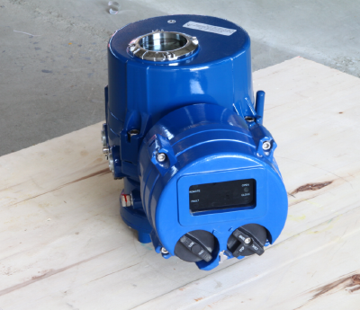 Quarter-turn electric actuator