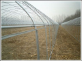 Plastic tube