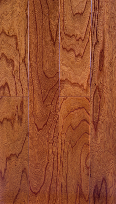 Elm Multi-Ply Parquet