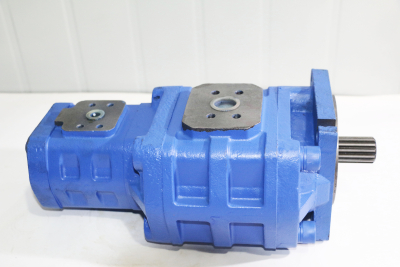 dual hydraulic pump for caterpillar Salami construction machinery