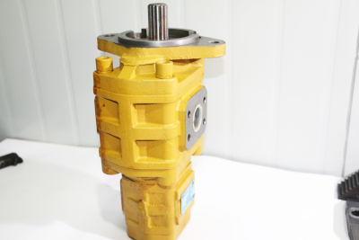 dual hydraulic pump for caterpillar Salami construction machinery