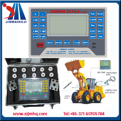 Bucket loader scales system