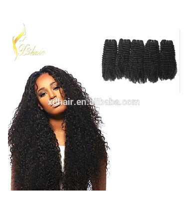 Unprocessed Malaysian Virgin Hair Curl 3 Bundles Cheap MalaysianKinkyCurly Hair 100% Human Hair Weave DHL Shipping