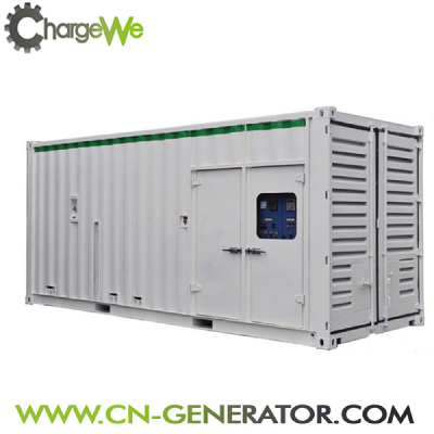 Container Gas Genset 20kw~600kw Biomass Generator