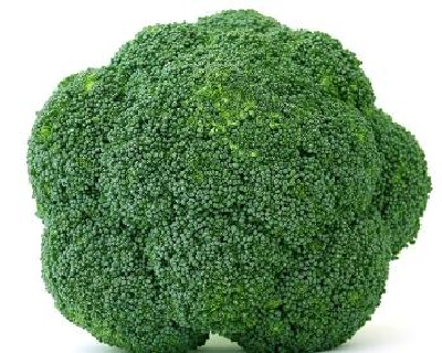 Fresh Broccoli