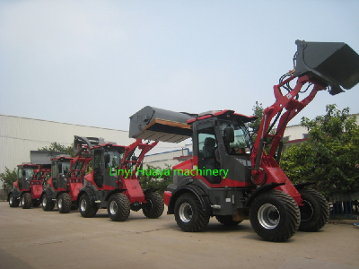 CAISE  mini wheel loader (CS910pro) with FOPS&ROPS