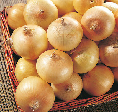 Chinese Yellow Onion