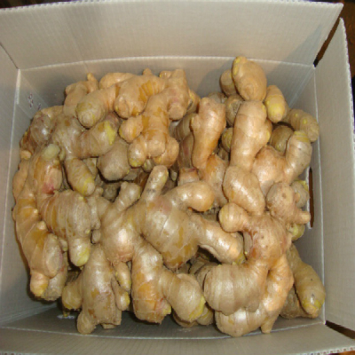 Air Dried Ginger