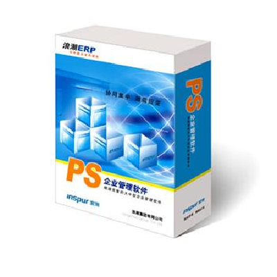 Inspur Erp Ps